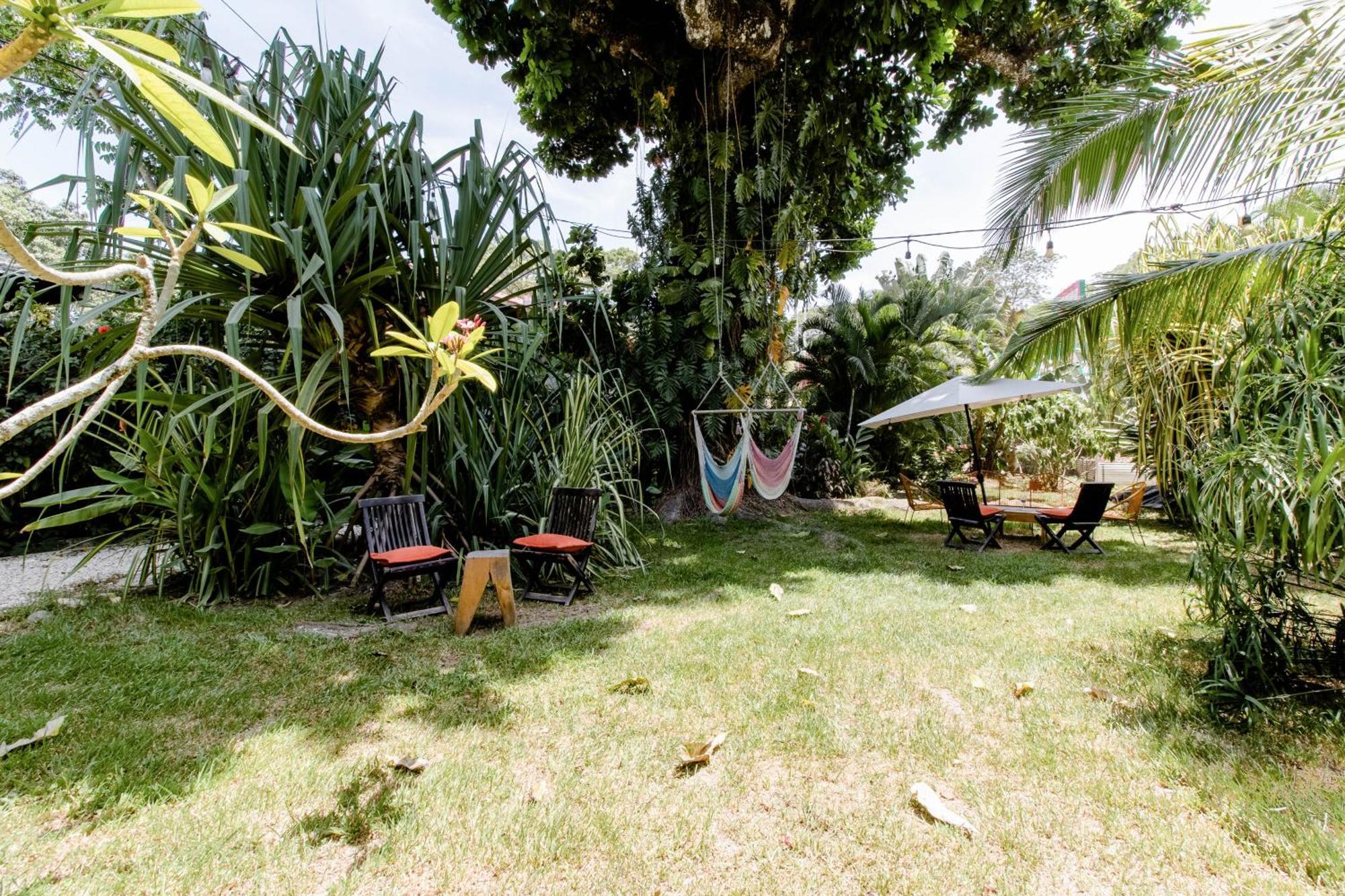 Bajo El Arbol B&B Playa Santa Teresa  Eksteriør bilde