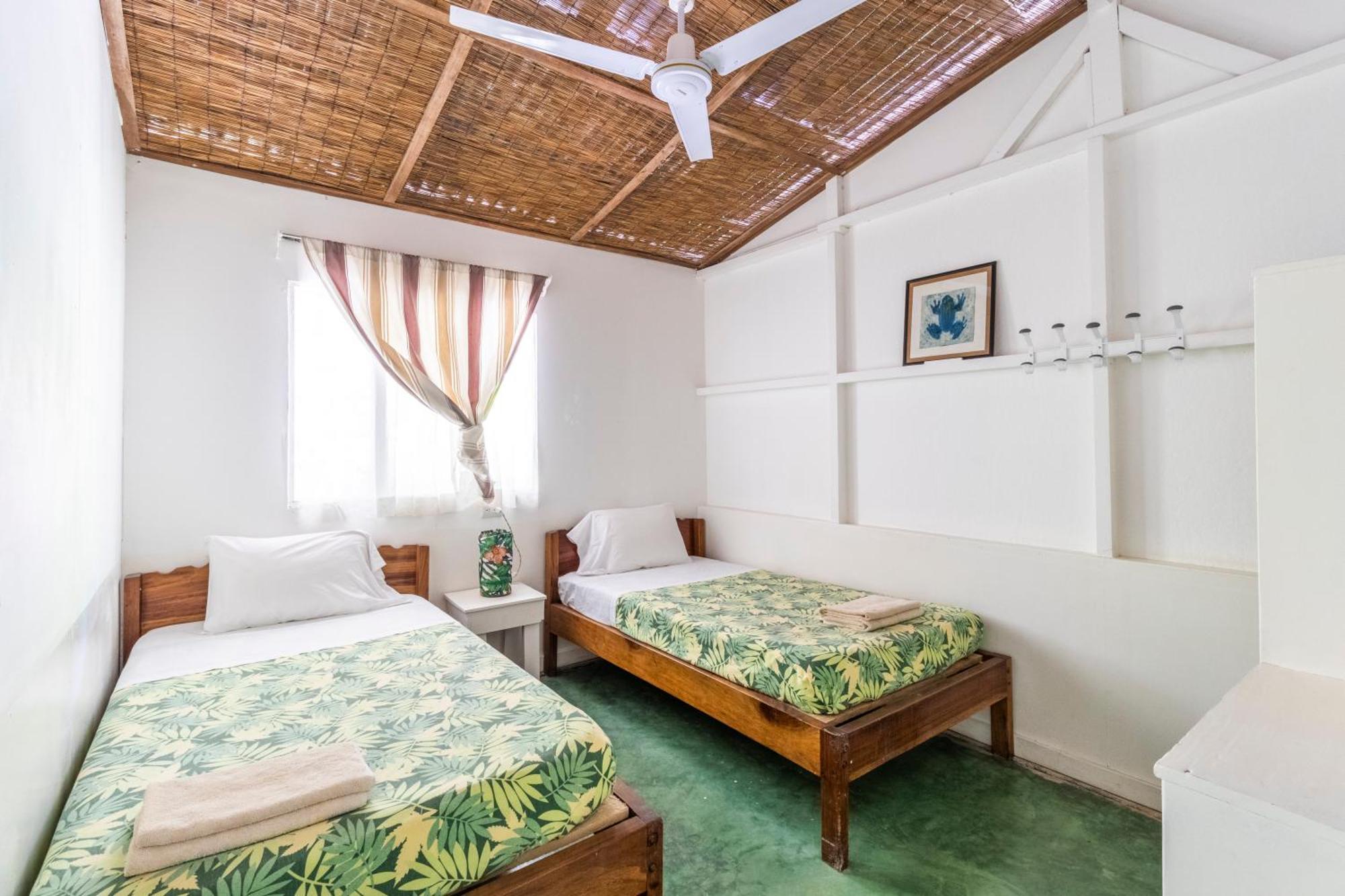 Bajo El Arbol B&B Playa Santa Teresa  Eksteriør bilde